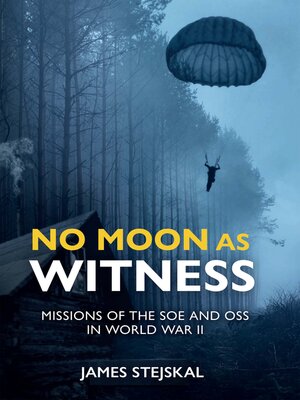 cover image of No Moon as Witness